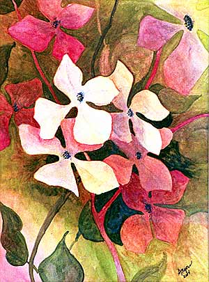 Gordon MacKenzie's Flowers