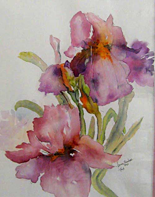 spring iris